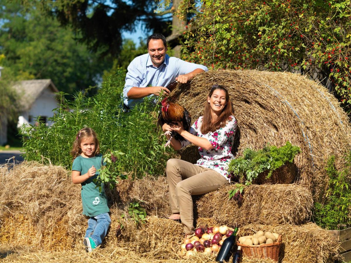 Fruehstueckshaus Wunderland Bed and Breakfast Laa an der Thaya Buitenkant foto